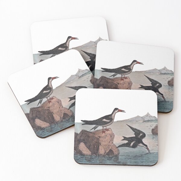 Item preview, Antique Sea Bird Engraving designed and sold by louisxvpod.