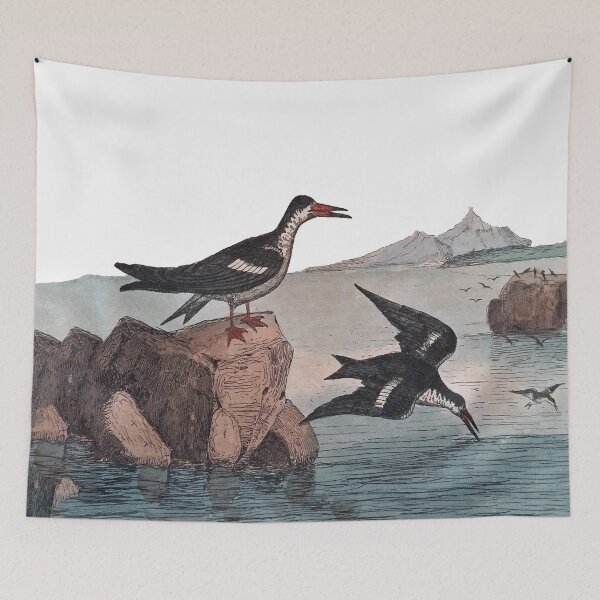 Item preview, Antique Sea Bird Engraving designed and sold by louisxvpod.