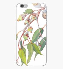 Australian native eucalyptus tree branch iPhone Case