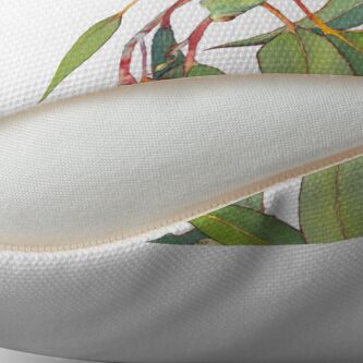 Alternate view of Australian native eucalyptus tree branch Throw Pillow