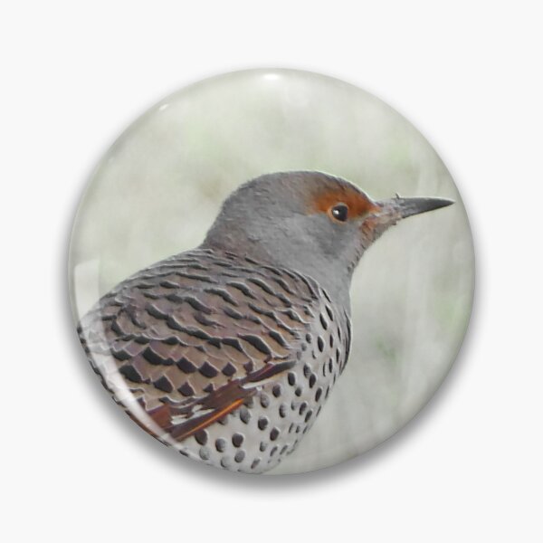 Item preview, Red-Shafted Northern Flicker designed and sold by WhitetailGfx.