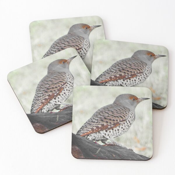 Item preview, Red-Shafted Northern Flicker designed and sold by WhitetailGfx.