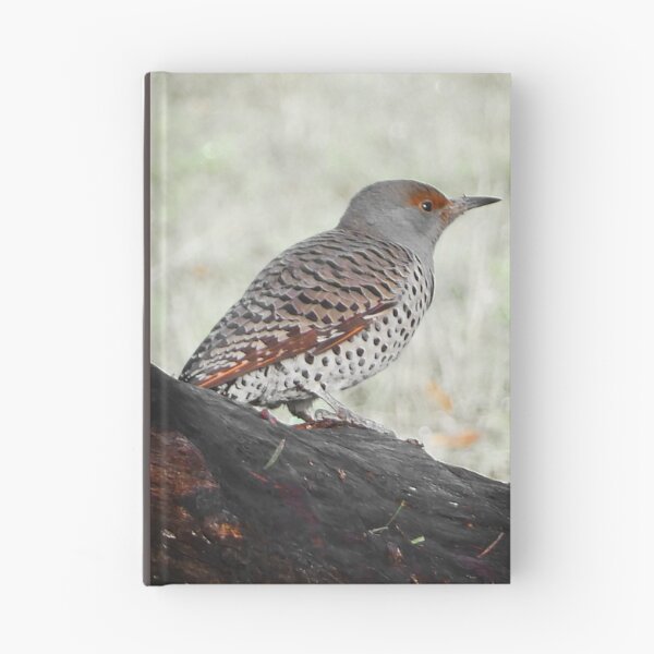Item preview, Red-Shafted Northern Flicker designed and sold by WhitetailGfx.