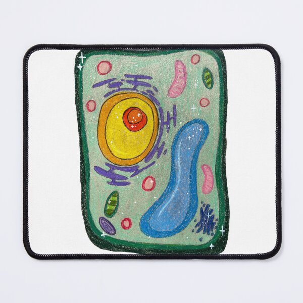 Item preview, plant cell designed and sold by erin m.