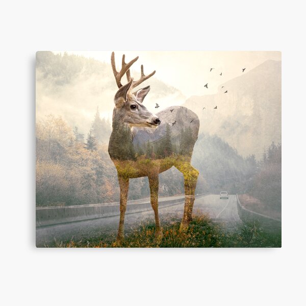 Deer remembers Metal Print