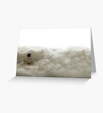 penguin Greeting Card