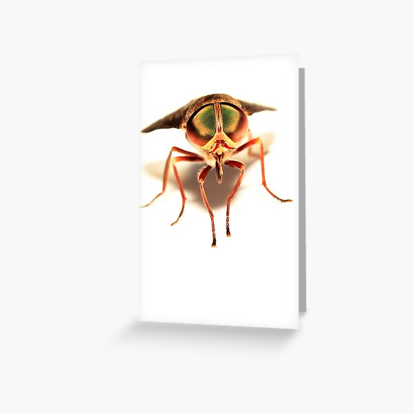 Coming to get you Greeting Card