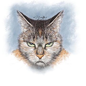 an angry cat illustration. a hand drawn illustration of a wild