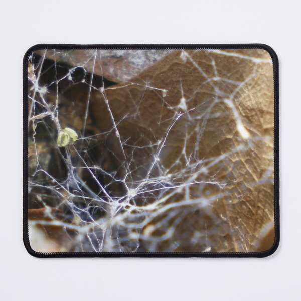 Item preview, Spider Web designed and sold by Rebekah  McLeod.