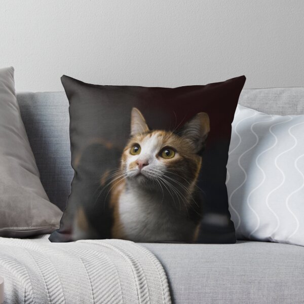 Kitty cat pillow clearance cases