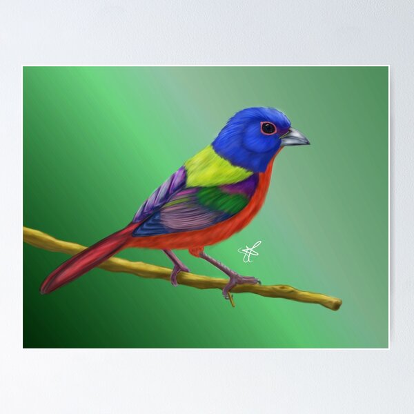 Item preview, Painted bunting designed and sold by Stephanie Adams.