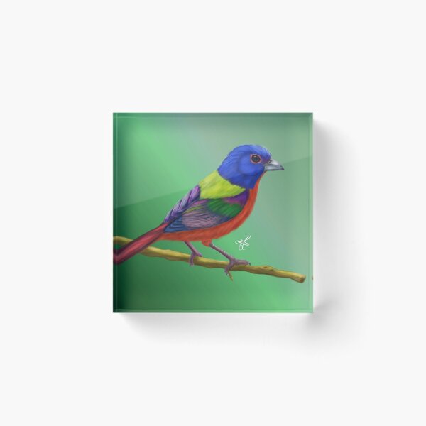Item preview, Painted bunting designed and sold by Stephanie Adams.