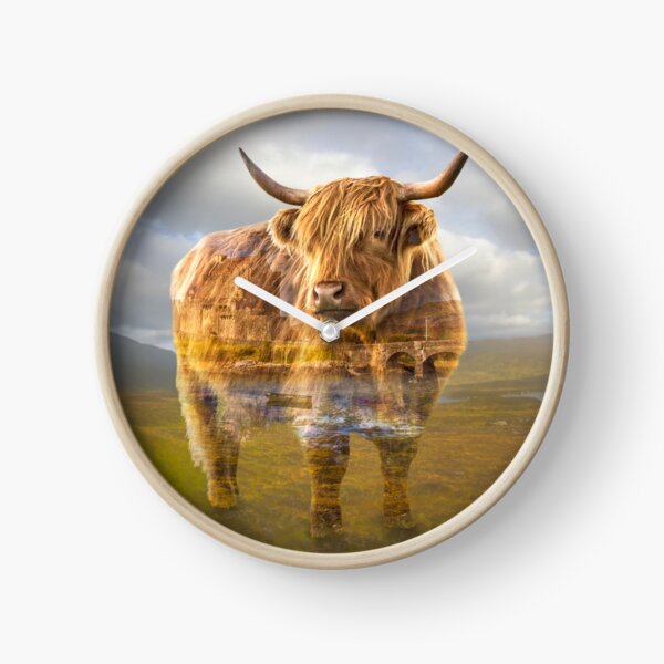 Highland cow recalls Clock