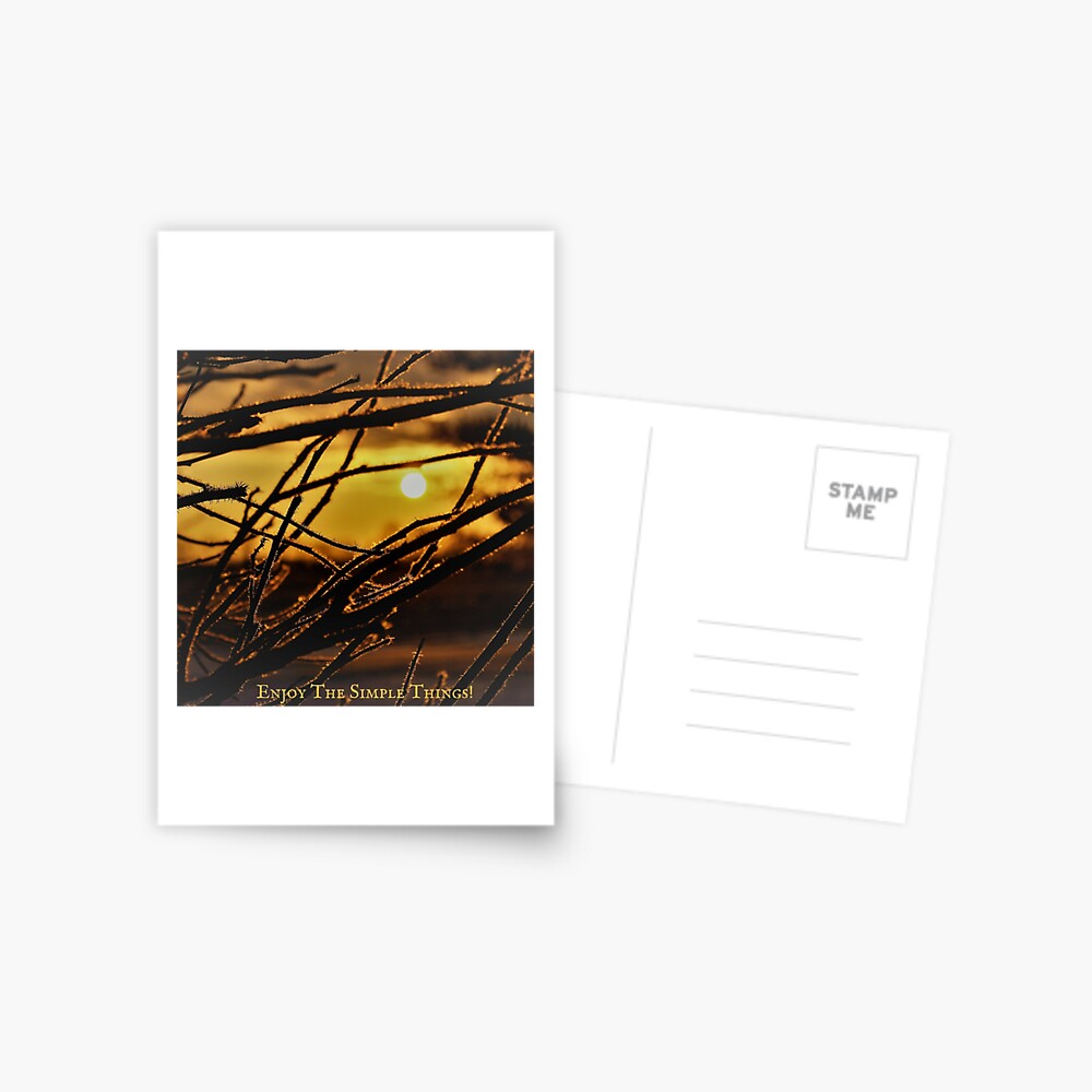 Item preview, Postcard designed and sold by TanyaHammond.