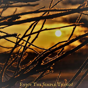 Artwork thumbnail, Enjoy The Simple Things! by TanyaHammond