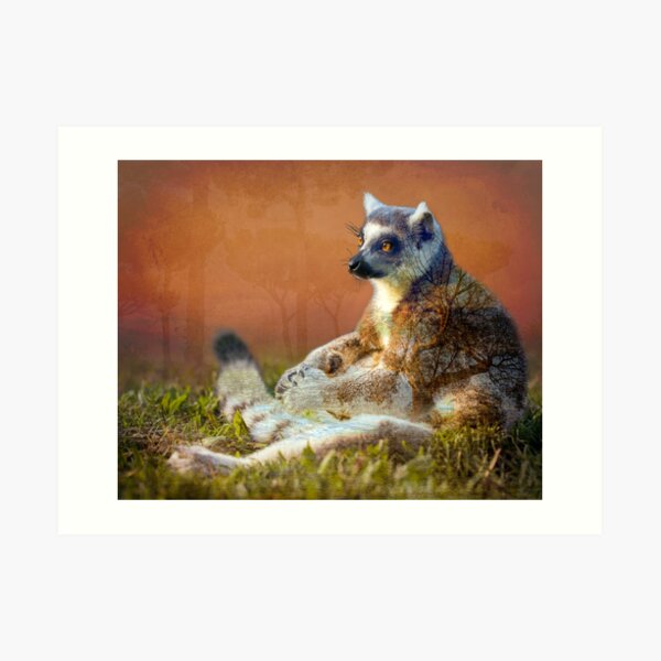 Lemur's wish Art Print