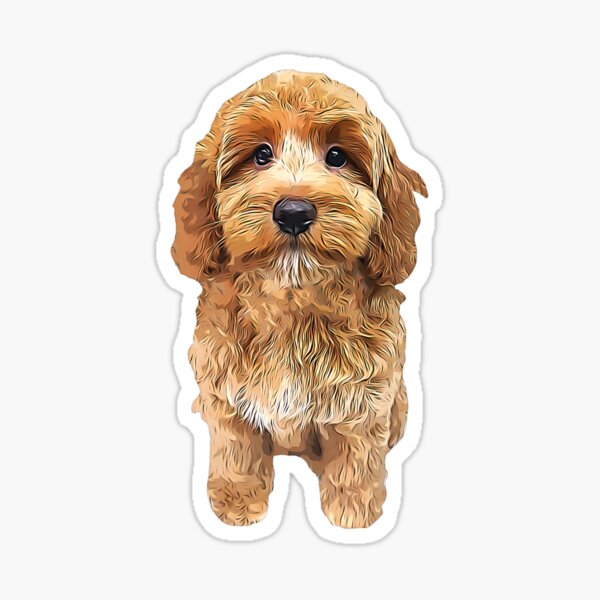 Item preview, Spoodle Cockapoo Cockerpoo Doodle designed and sold by ElegantCat.