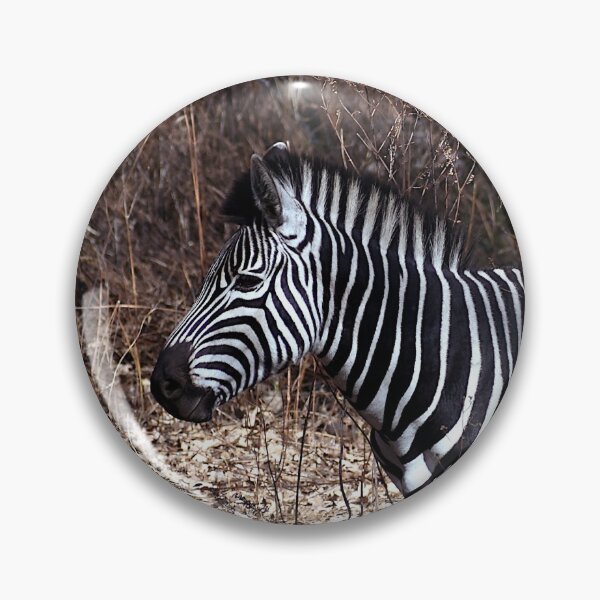Item preview, Zebra designed and sold by PictureFarm.