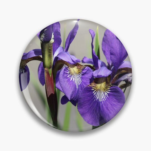 Item preview, Purple Iris Flower designed and sold by TrulyLoveNature.