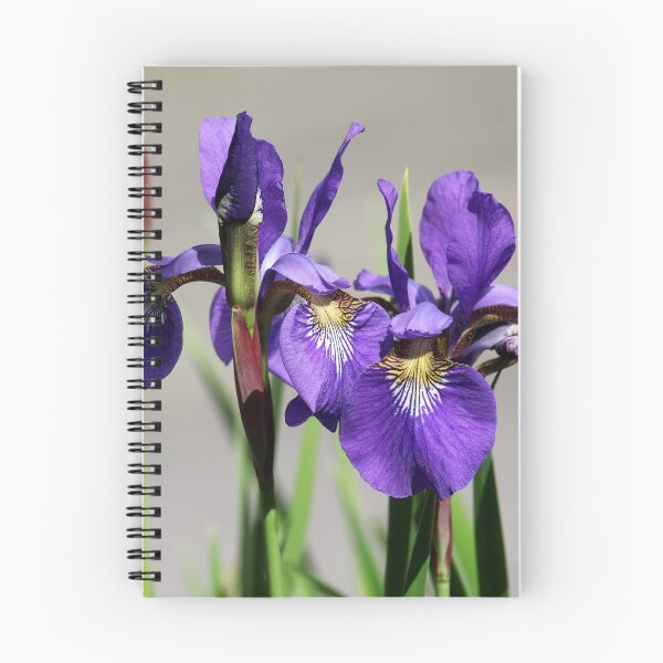 Item preview, Purple Iris Flower designed and sold by TrulyLoveNature.