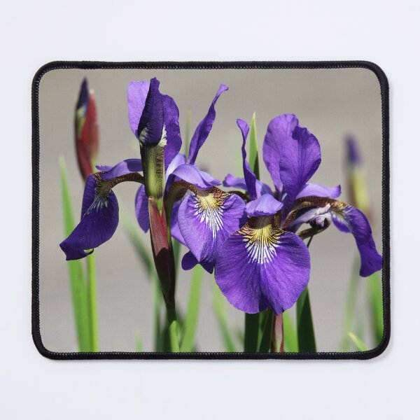 Item preview, Purple Iris Flower designed and sold by TrulyLoveNature.