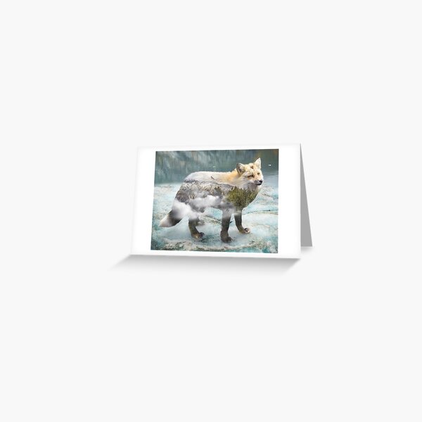 Fox's gaze Greeting Card