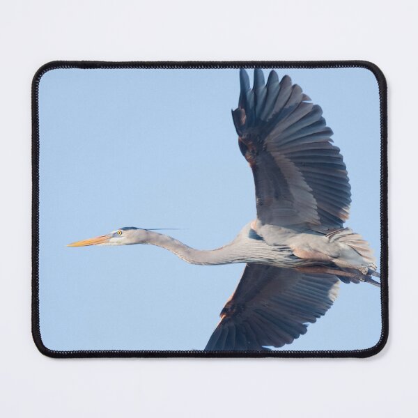 Item preview, Great Blue Heron Flying High designed and sold by Puttaswamy Ravishankar.