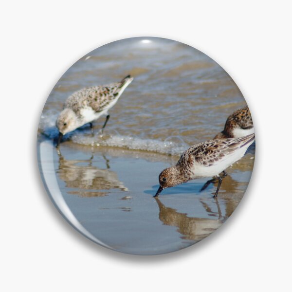 Item preview, Calidris alba designed and sold by iago rodriguez dopico.