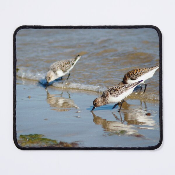 Item preview, Calidris alba designed and sold by iago rodriguez dopico.