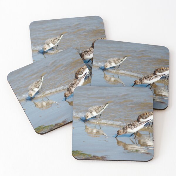 Item preview, Calidris alba designed and sold by iago rodriguez dopico.