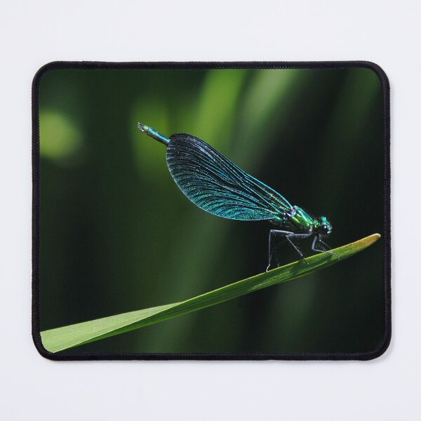 Item preview, calopteryx virgo designed and sold by iago rodriguez dopico.