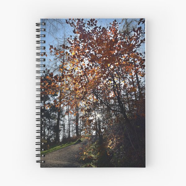 Item preview, Tarn Trees Autumn designed and sold by Alan Ralph.