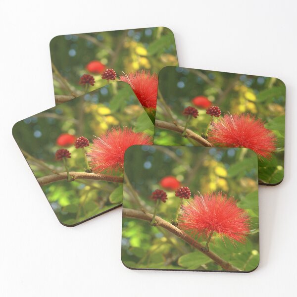 Item preview, Powder Puff Tree Calliandra Haematocephala designed and sold by K D Graves Photography.