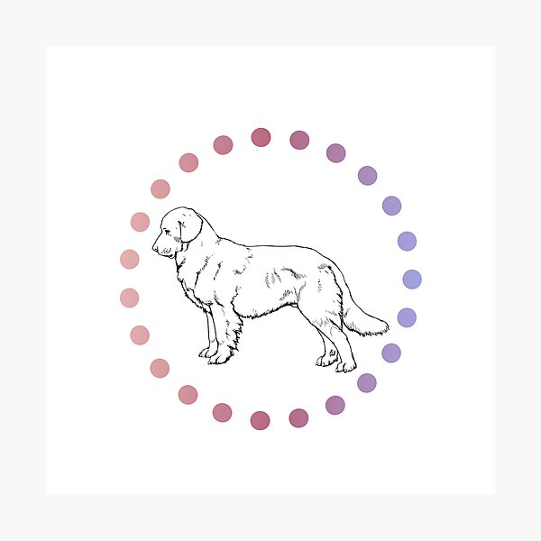 Item preview,  Colourful dot dog designed and sold by Beautyqueens Beautys.