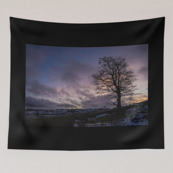 Item preview, Sunset Sycamore designed and sold by Andy Beattie.