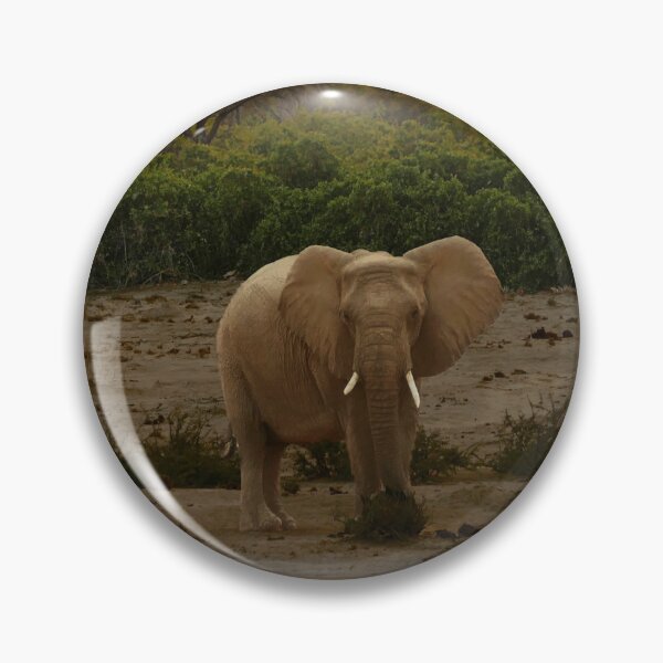 Item preview, Elephant in Brandberg Africa designed and sold by jaynerushton.