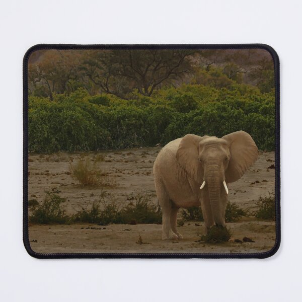Item preview, Elephant in Brandberg Africa designed and sold by jaynerushton.