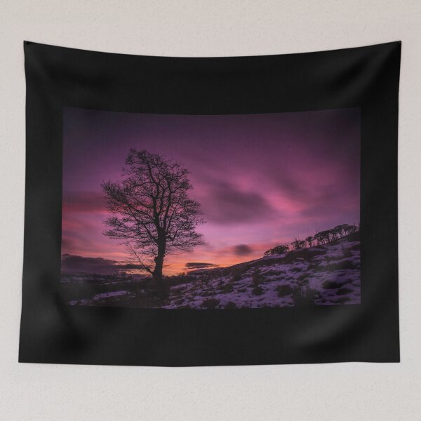 Item preview, Sunset Sycamore designed and sold by Andy Beattie.