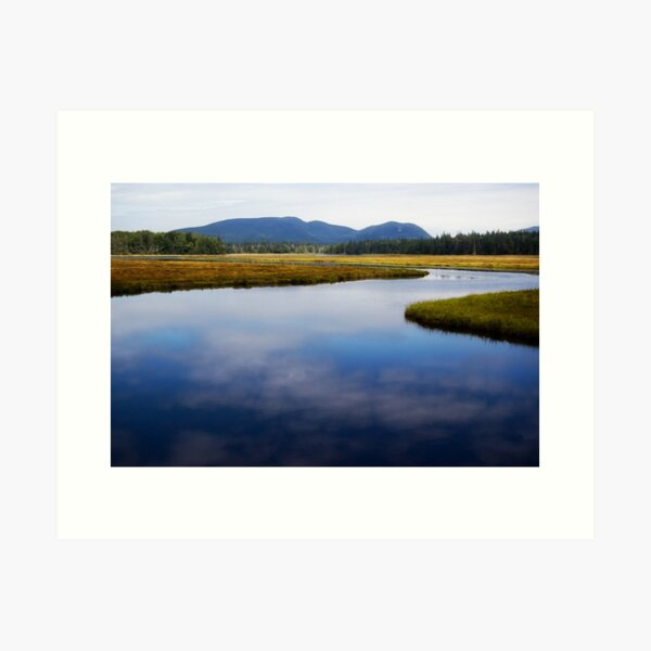 Acadia National Park Art Print