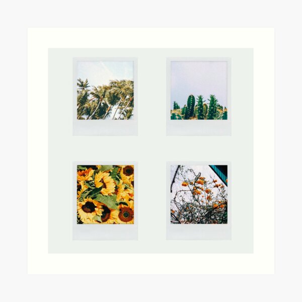 4 polaroid pictures Art Print