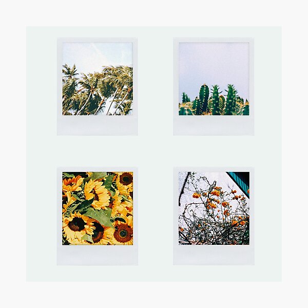 4 polaroid pictures Photographic Print