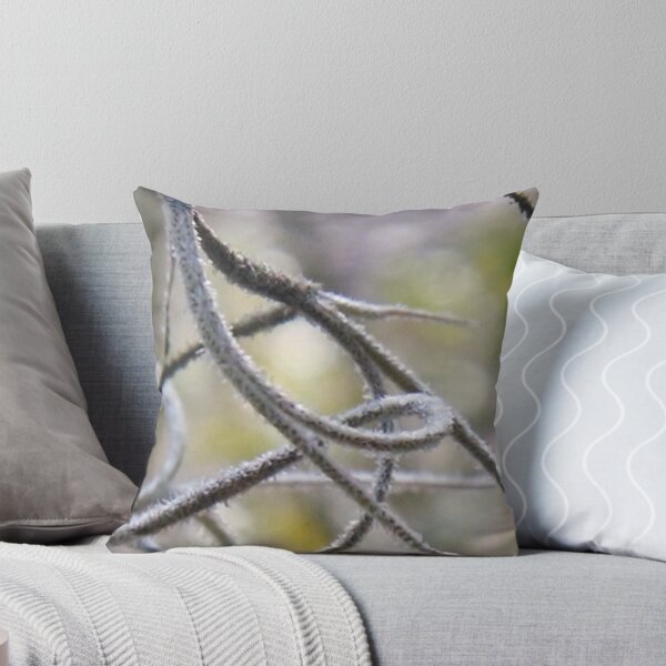 Item preview, Spanish moss in macro with bokeh designed and sold by Nadia Korths.