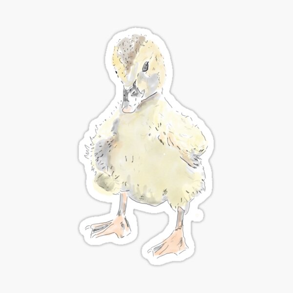 Baby duck Sticker