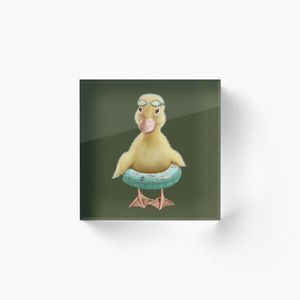 DUCK Acrylic Block