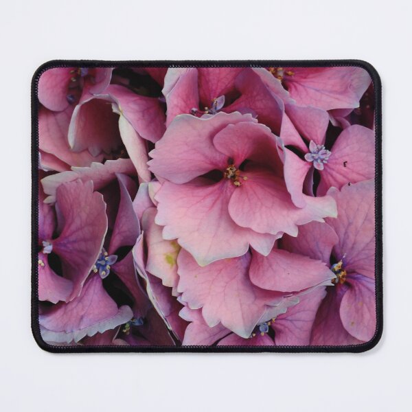 Item preview, Hydrangeas 1 designed and sold by Geoff Treagus.