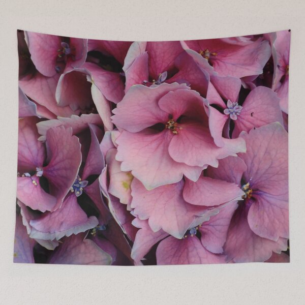 Item preview, Hydrangeas 1 designed and sold by Geoff Treagus.