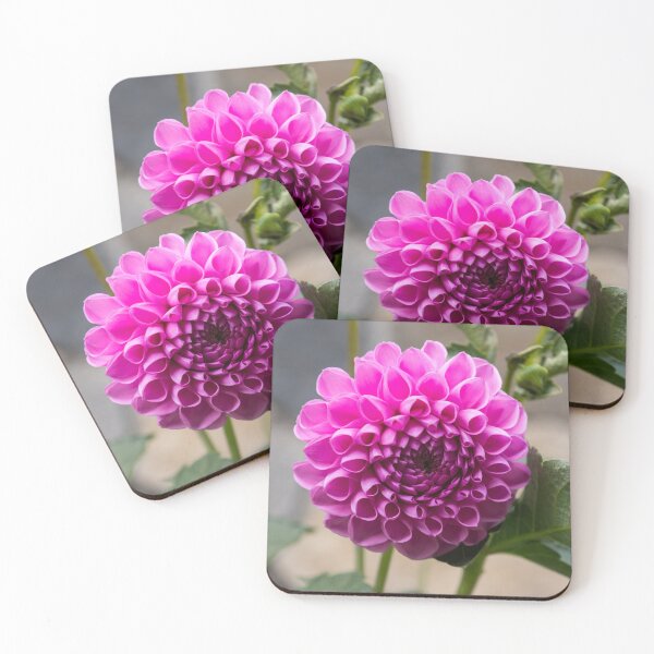 Item preview, Viva Magenta - Splendiferous Fibonacci Pattern on a Dahlia Bloom designed and sold by Georgia Mizuleva.