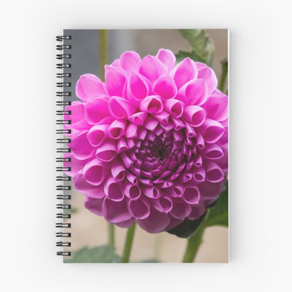 Item preview, Viva Magenta - Splendiferous Fibonacci Pattern on a Dahlia Bloom designed and sold by Georgia Mizuleva.