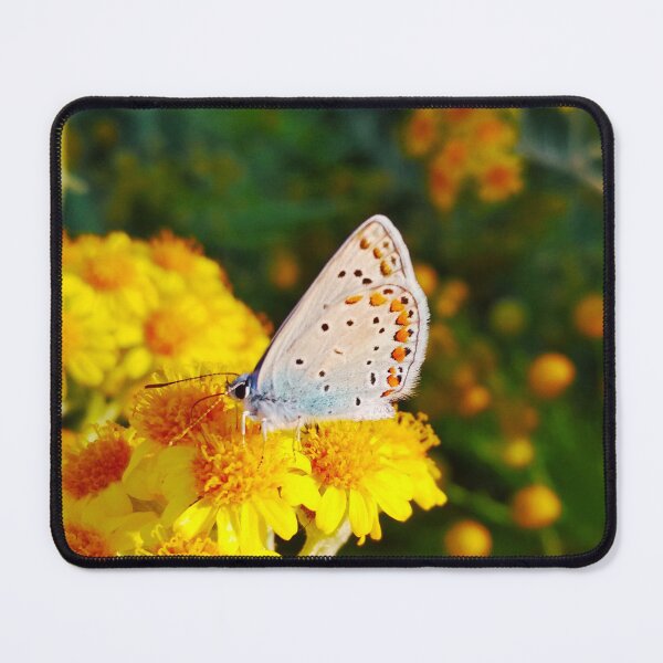 Item preview, A painted lady on small yellow flowers  designed and sold by helenkaiy.