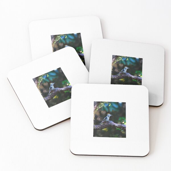 Item preview, Bird's, bird, nature, suvashbarman, gifts. designed and sold by suvashbarman.